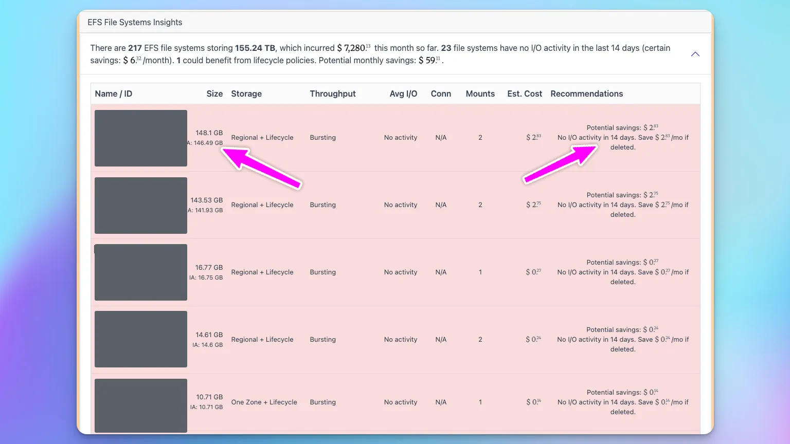CloudPouch EFS Cost Insights table showing file system size, storage class mix, throughput mode, I/O activity, estimated cost, and recommendations.