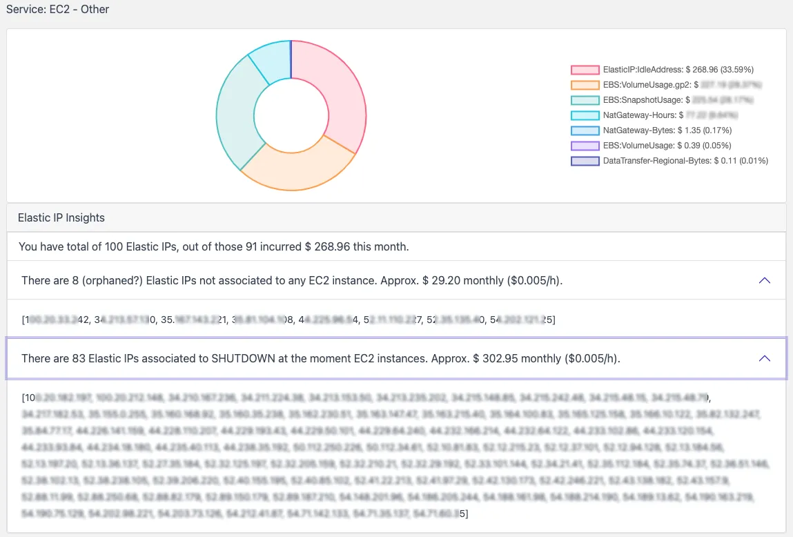 CloudPouch Elastic IP Cost Insights summary showing idle Elastic IP costs and addresses associated with stopped EC2 instances.